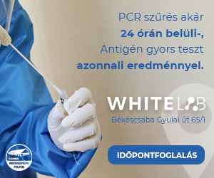 PCR szűrő labor Békéscsaba