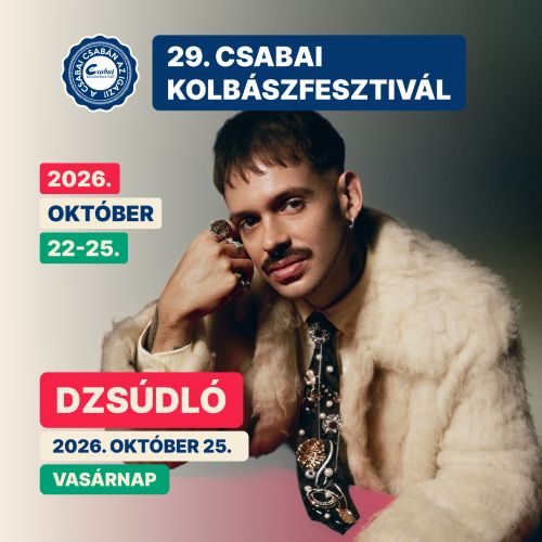 DZSÚDLÓ
